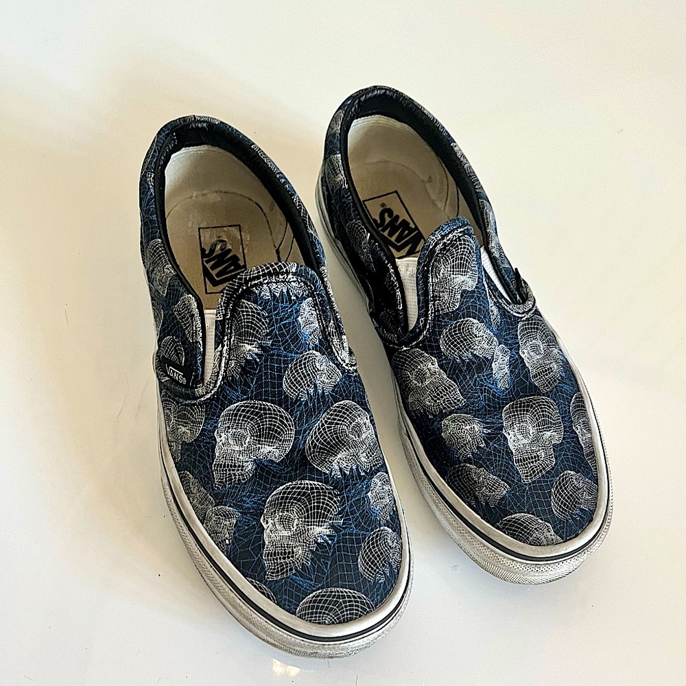 Vans wireframe Skulls classic Slip-On